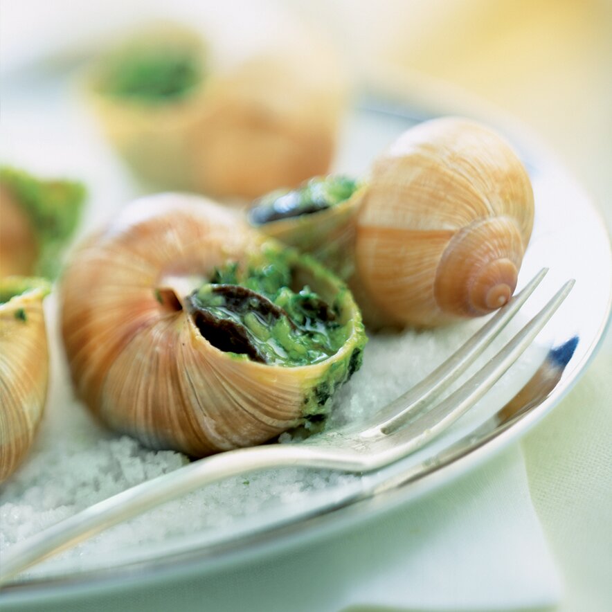 Escargots de bourgogne moyens x144 4/4 Les Spiralées