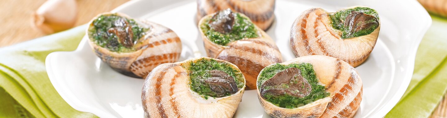 Une assiette blanche avec 6 escargots bio