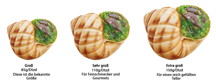 Waren Lexikon Escargots Et Aperitifs Surgeles Escal
